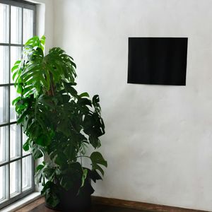 Bright window with green plants in a studio.